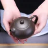 Handmade Xishi Purple Clay Unique Shape Teapot