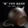 Handmade Yixing Raw Ore Black Shipiao Teapot 200ml